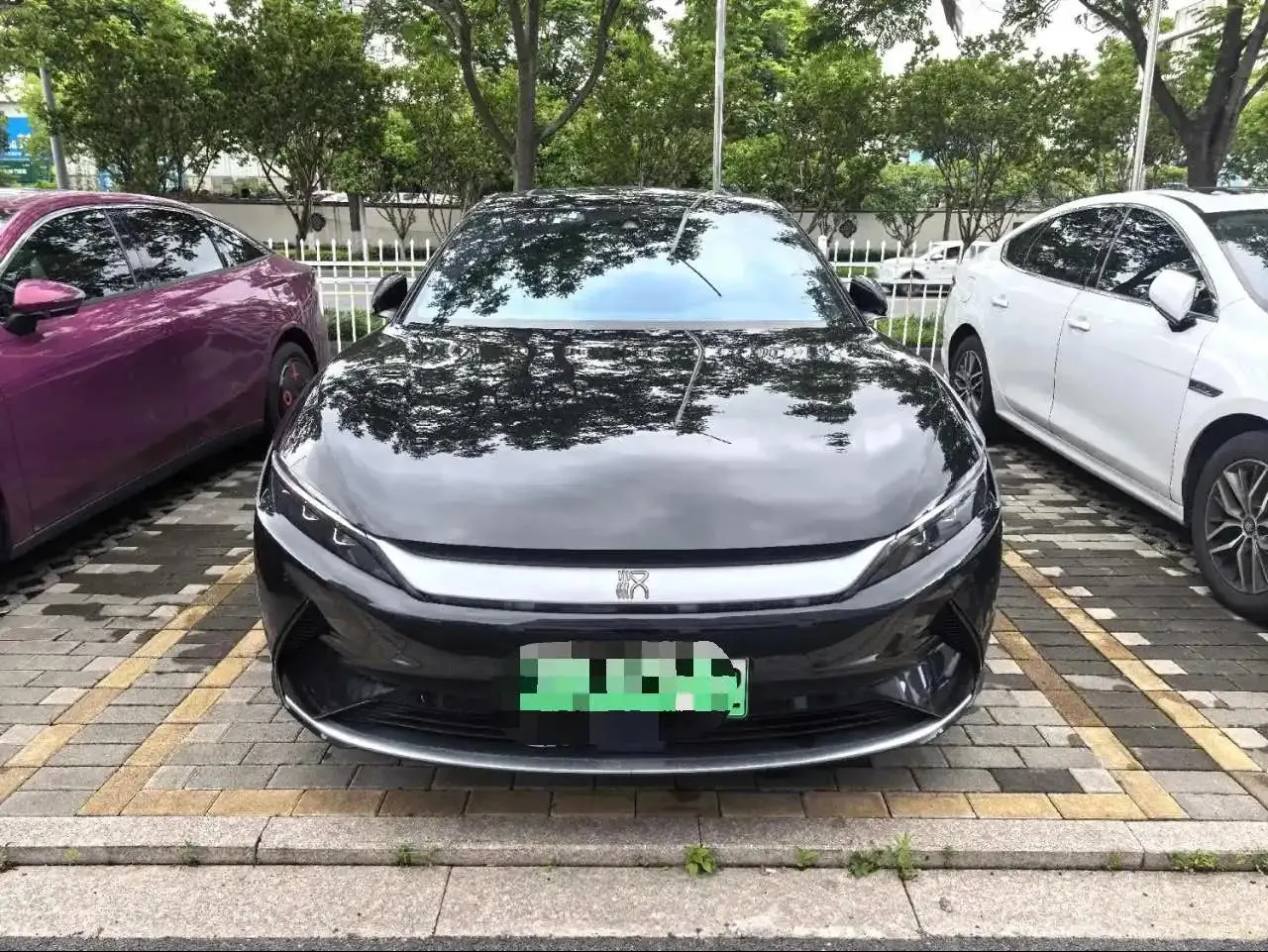 Han 2021 EV Standard Endurance Luxury Model 2