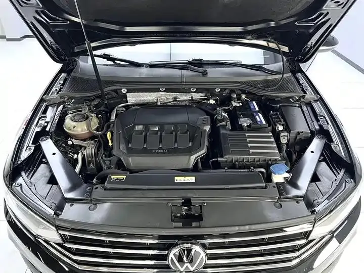 Magotan 2020 330TSI DSG Luxury Edition 13