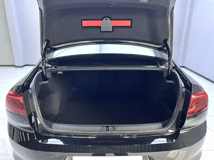 Magotan 2020 330TSI DSG Luxury Edition 9