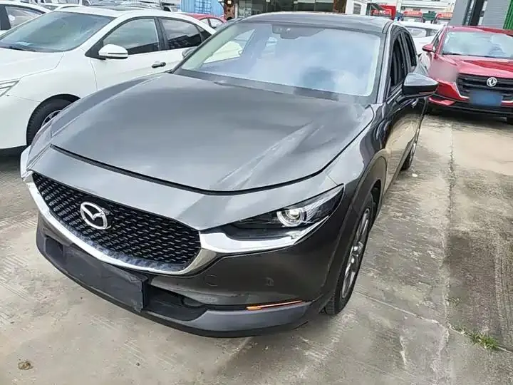 Mazda CX-30 2021 2.0L Automatic Yayue Model 2