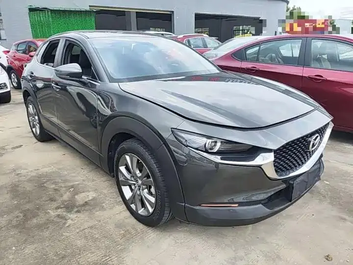 Mazda CX-30 2021 2.0L Automatic Yayue Model 4