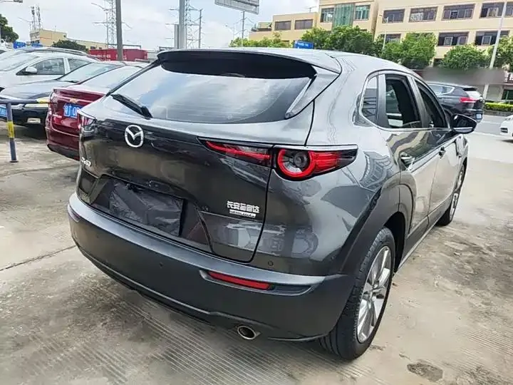Mazda CX-30 2021 2.0L Automatic Yayue Model 7