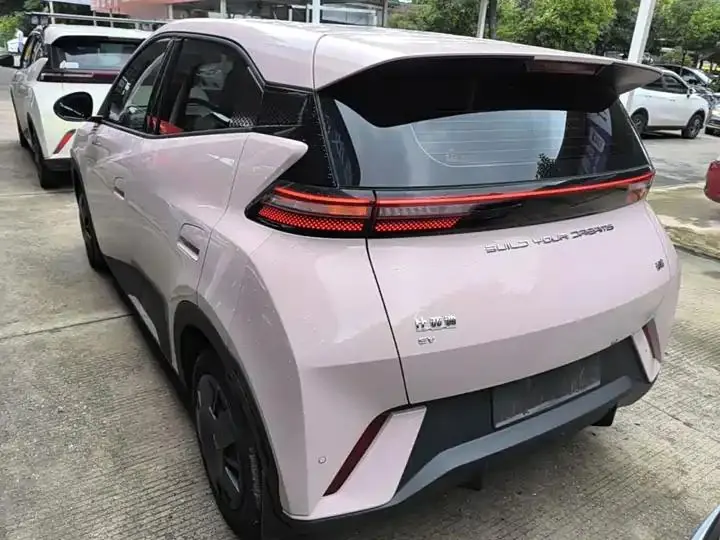 Seagull 2023 Vital Edition 5