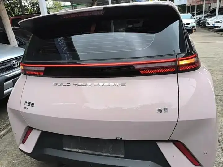 Seagull 2023 Vital Edition 6