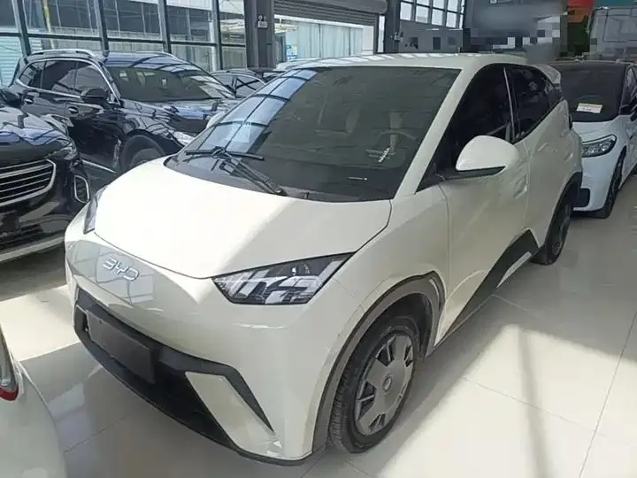 Seagull 2025 Model, 305km Range, Dynamic Edition - View 1