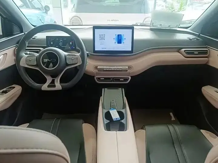 Seagull 2025 Model, 305km Range, Dynamic Edition 10
