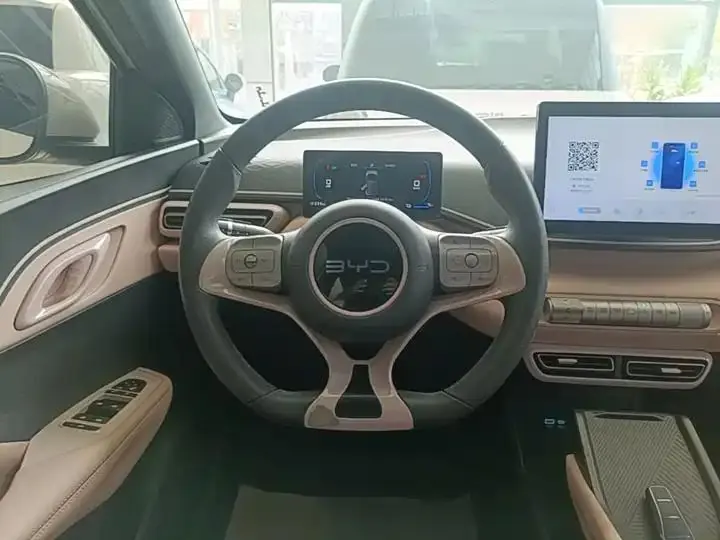 Seagull 2025 Model, 305km Range, Dynamic Edition 11