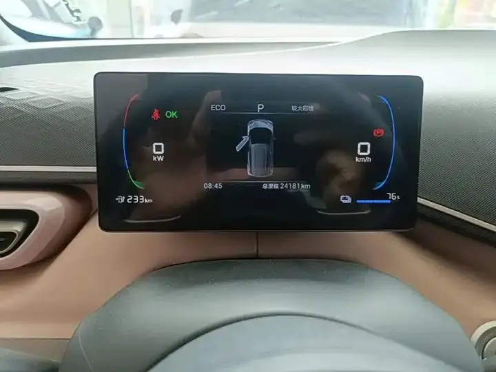 Seagull 2025 Model, 305km Range, Dynamic Edition 12