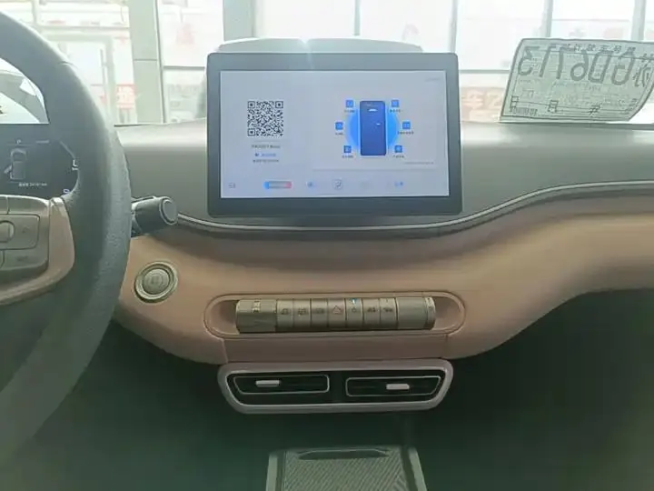 Seagull 2025 Model, 305km Range, Dynamic Edition 13