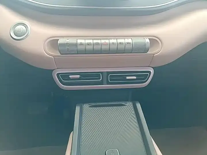 Seagull 2025 Model, 305km Range, Dynamic Edition 14