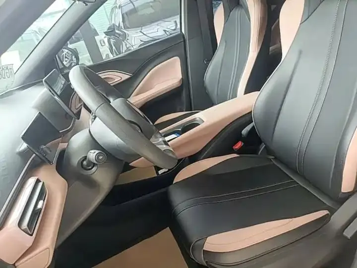 Seagull 2025 Model, 305km Range, Dynamic Edition 15