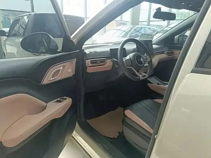 Seagull 2025 Model, 305km Range, Dynamic Edition 16