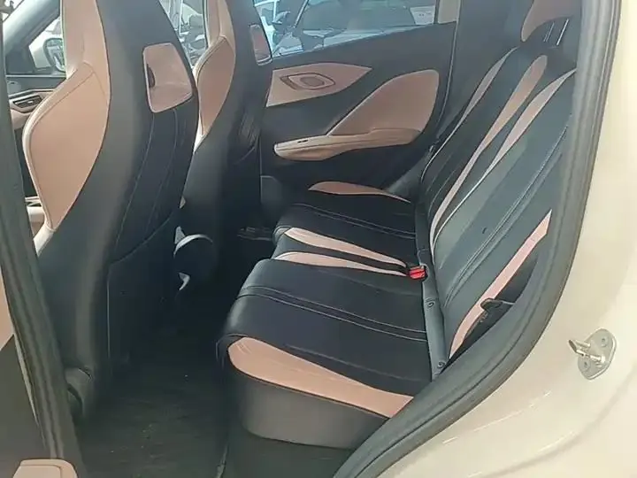 Seagull 2025 Model, 305km Range, Dynamic Edition 17