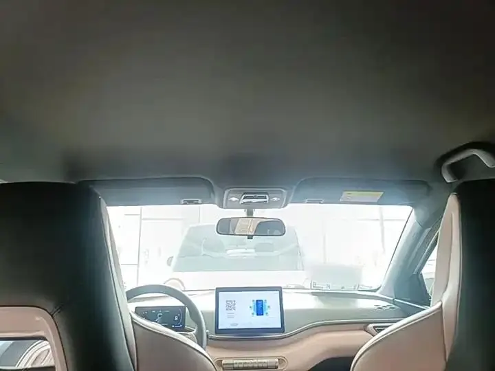 Seagull 2025 Model, 305km Range, Dynamic Edition 18