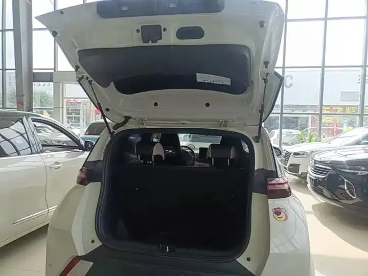 Seagull 2025 Model, 305km Range, Dynamic Edition 19