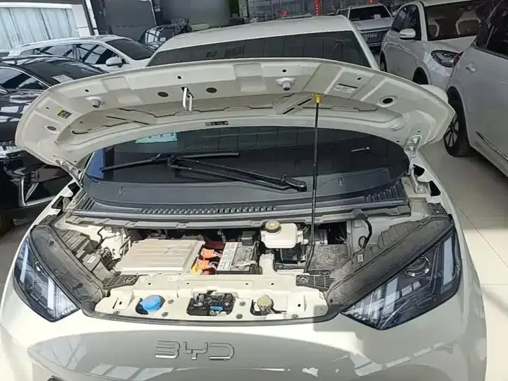 Seagull 2025 Model, 305km Range, Dynamic Edition 20