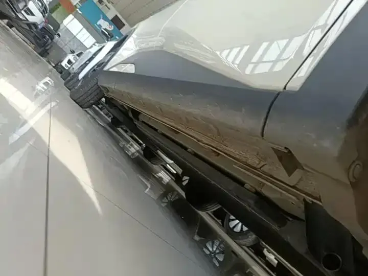 Seagull 2025 Model, 305km Range, Dynamic Edition 21