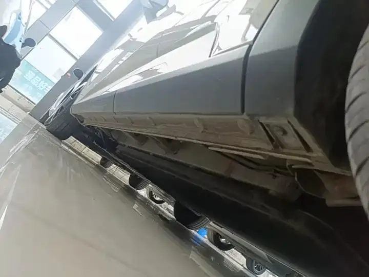 Seagull 2025 Model, 305km Range, Dynamic Edition 22