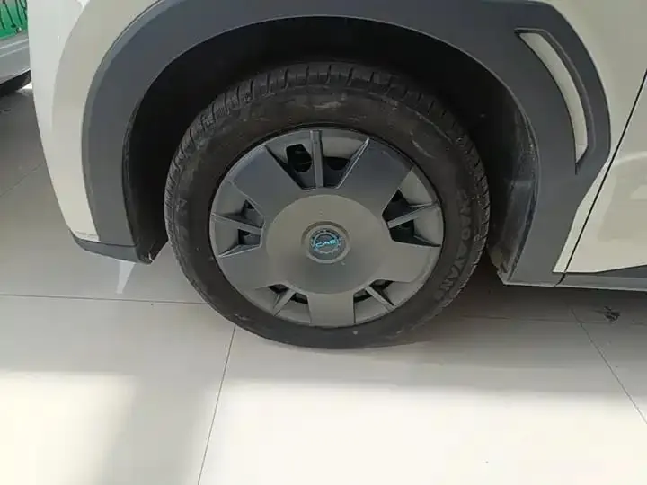 Seagull 2025 Model, 305km Range, Dynamic Edition 23