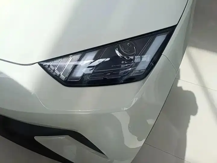 Seagull 2025 Model, 305km Range, Dynamic Edition 24