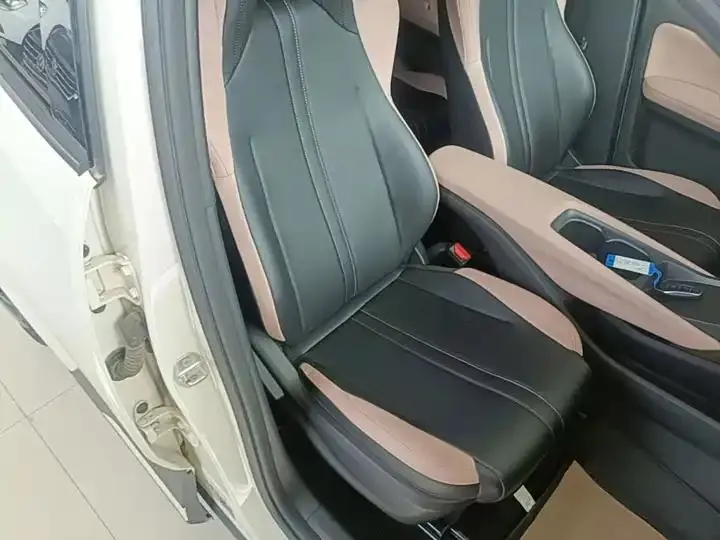 Seagull 2025 Model, 305km Range, Dynamic Edition 25