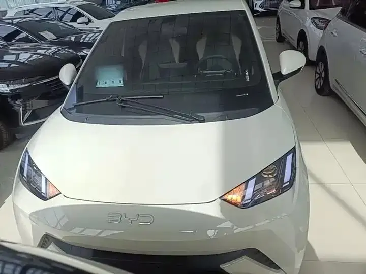Seagull 2025 Model, 305km Range, Dynamic Edition 3
