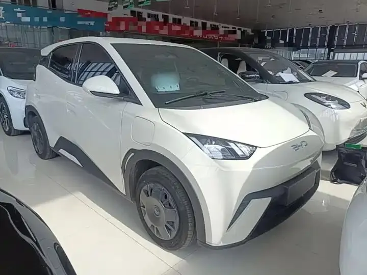 Seagull 2025 Model, 305km Range, Dynamic Edition 4