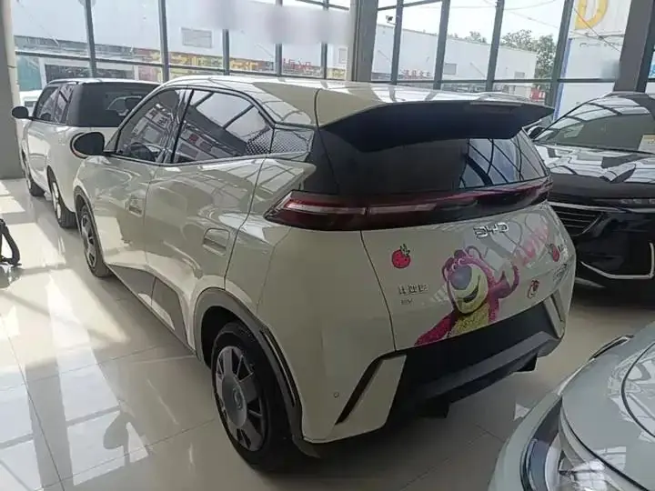 Seagull 2025 Model, 305km Range, Dynamic Edition 5