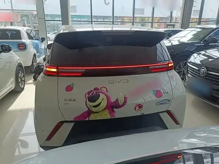 Seagull 2025 Model, 305km Range, Dynamic Edition 6