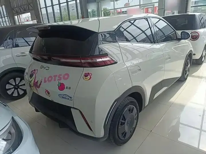 Seagull 2025 Model, 305km Range, Dynamic Edition 7