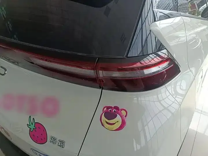 Seagull 2025 Model, 305km Range, Dynamic Edition 8