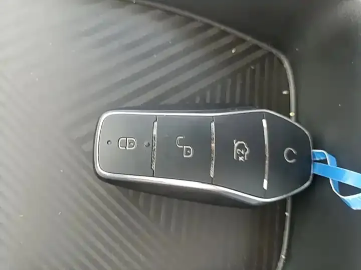 Seagull 2025 Model, 305km Range, Dynamic Edition 9