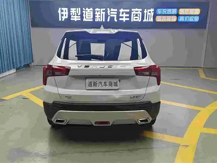 Venucia T60 2022 1.6L Manual View Edition 8
