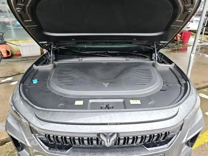 Voyah FREE 2025 318 259km 4WD Discovery Edition 16