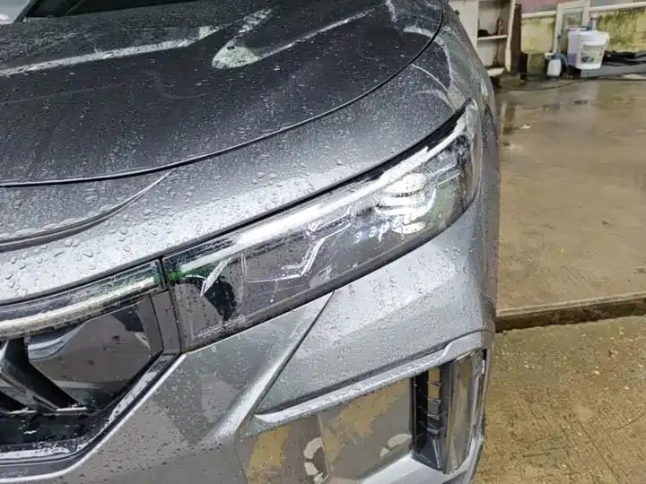 Voyah FREE 2025 318 259km 4WD Discovery Edition 18