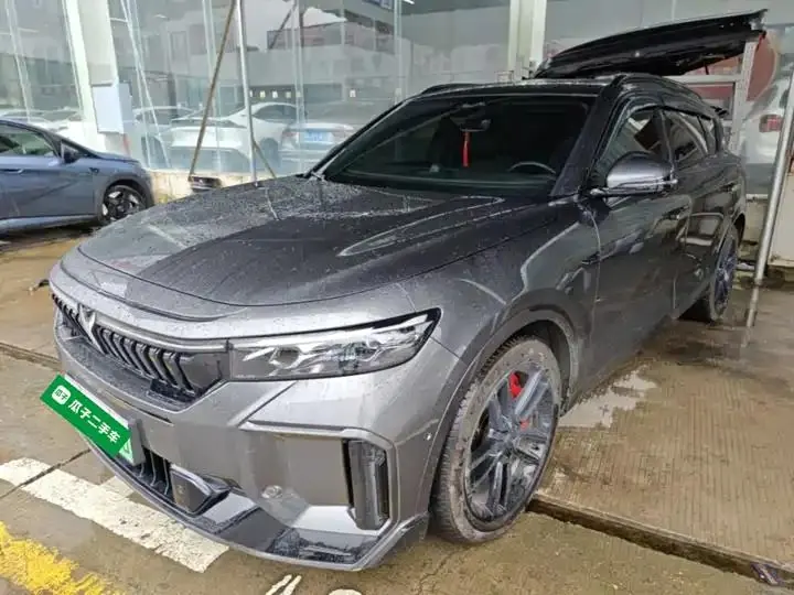 Voyah FREE 2025 318 259km 4WD Discovery Edition 2