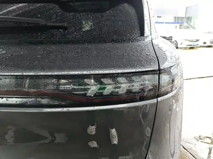Voyah FREE 2025 318 259km 4WD Discovery Edition 24