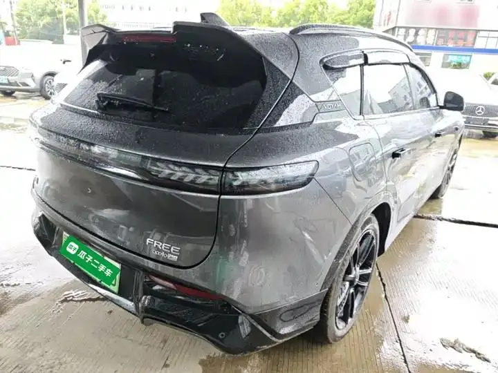Voyah FREE 2025 318 259km 4WD Discovery Edition 5