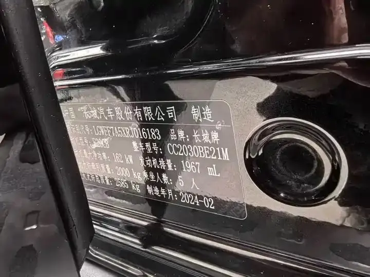 Tank 300 2024 Model 2.0T Conqueror 16