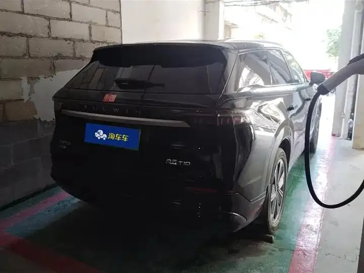 Fengyun T10 2024 Model 210 Luxury Edition 3