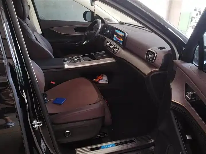 Fengyun T10 2024 Model 210 Luxury Edition 8