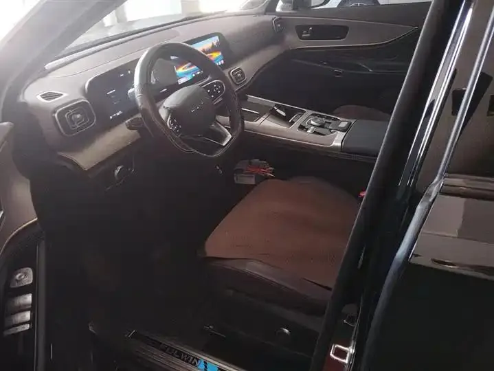 Fengyun T10 2024 Model 210 Luxury Edition 9