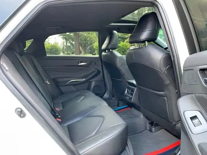 Asian Dragon 2023 2.0L Selected Edition 10