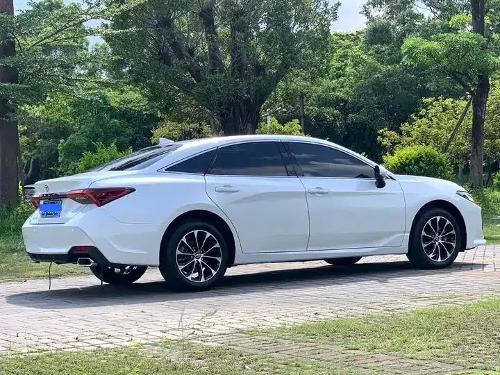 Asian Dragon 2023 2.0L Selected Edition 6