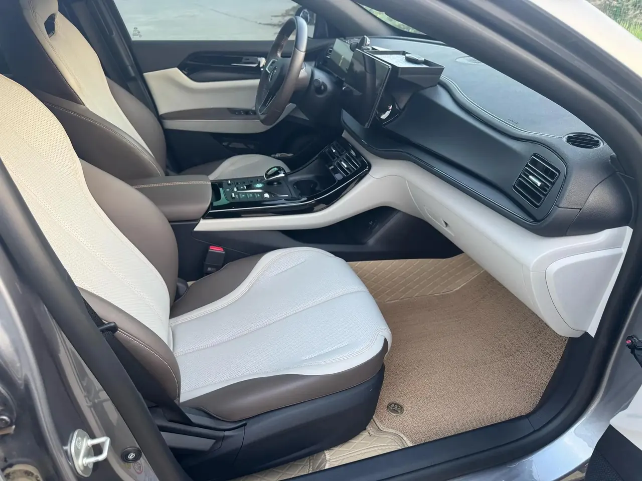 Qin PLUS 2021 DM-i 55KM Executive Edition 11