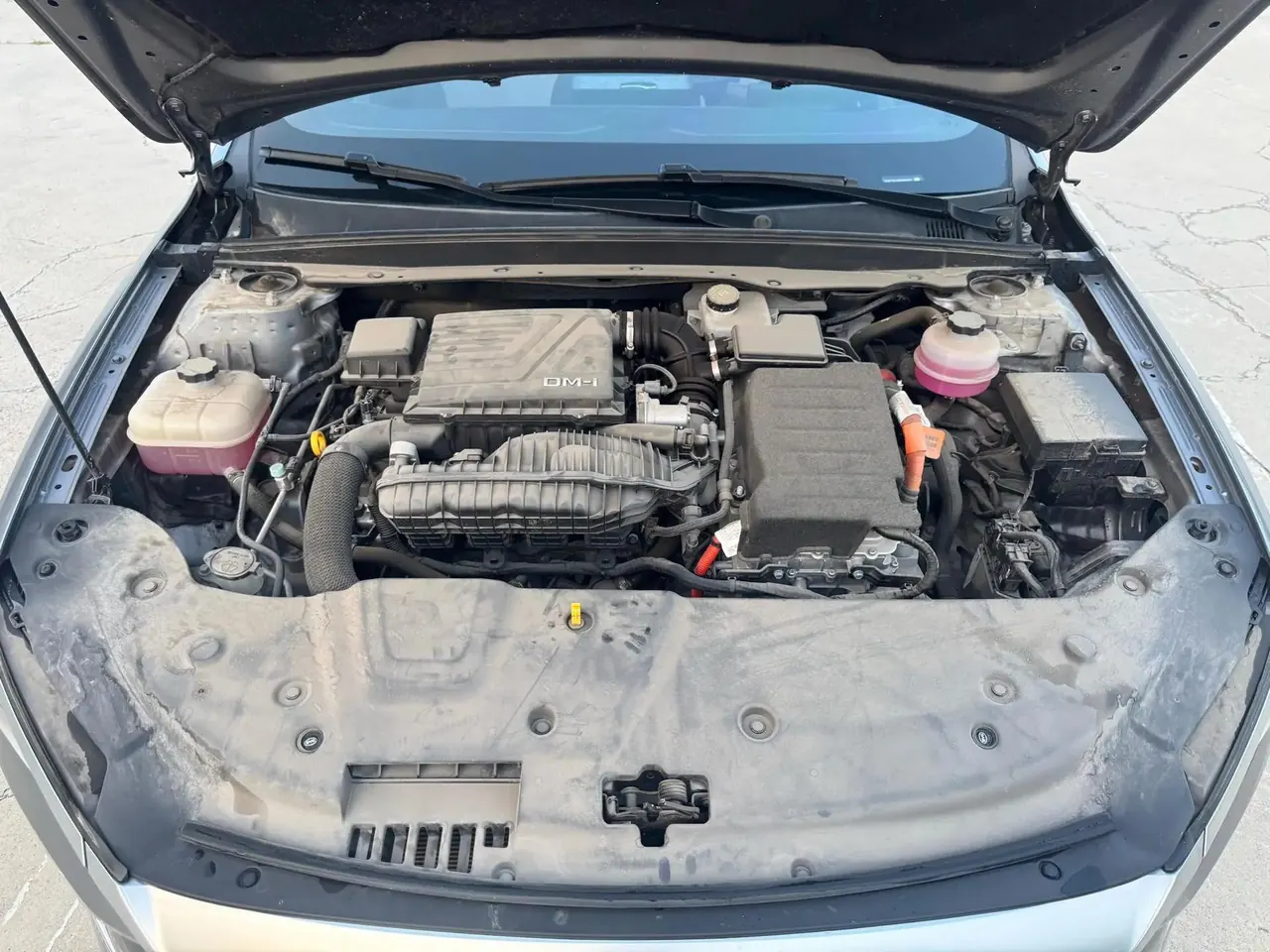 Qin PLUS 2021 DM-i 55KM Executive Edition 16