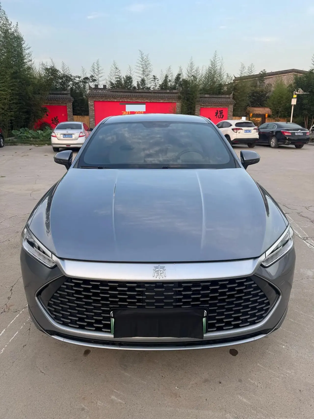 Qin PLUS 2021 DM-i 55KM Executive Edition 2