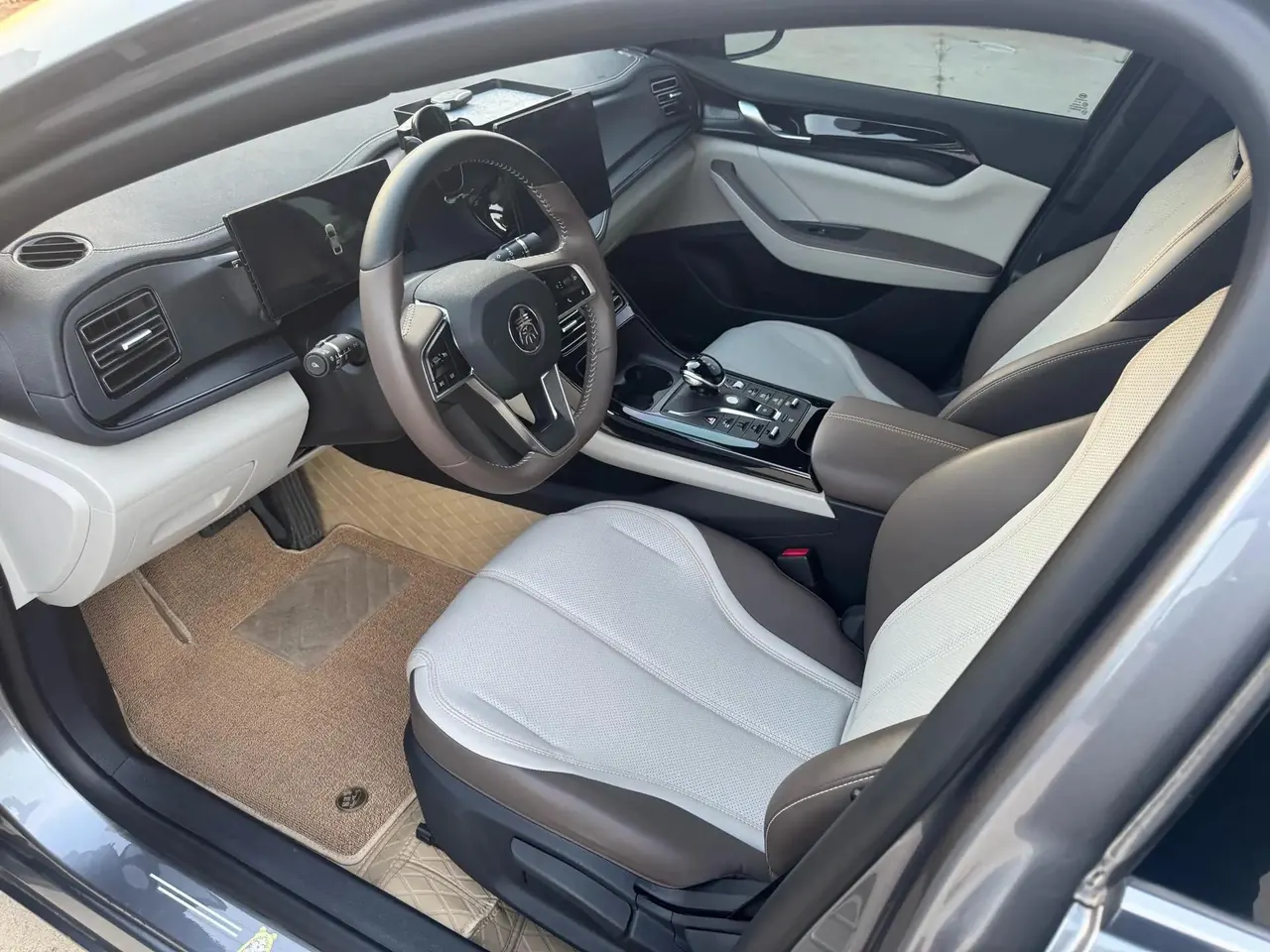 Qin PLUS 2021 DM-i 55KM Executive Edition 8