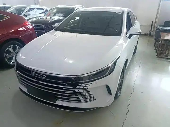 Destroyer 05 2023 Champion Edition DM-i 55km Luxury Model 2