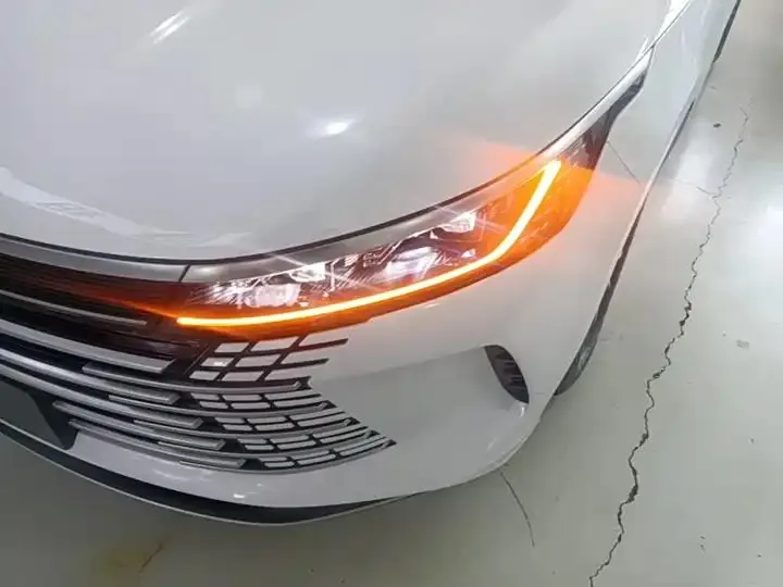 Destroyer 05 2023 Champion Edition DM-i 55km Luxury Model 24
